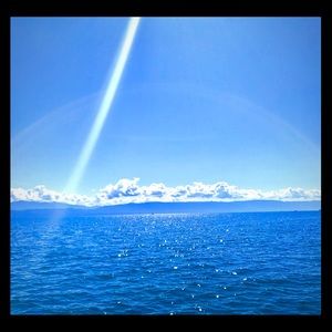 Meet your Posher, Toonia